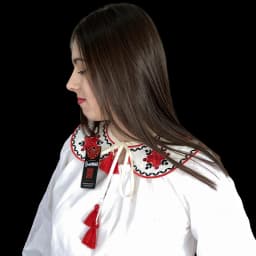 Зображення-1 товару: "Традиція" вишитий комірець