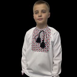 Зображення-4 товару: "Бандерівка" вишиванка для хлопчика